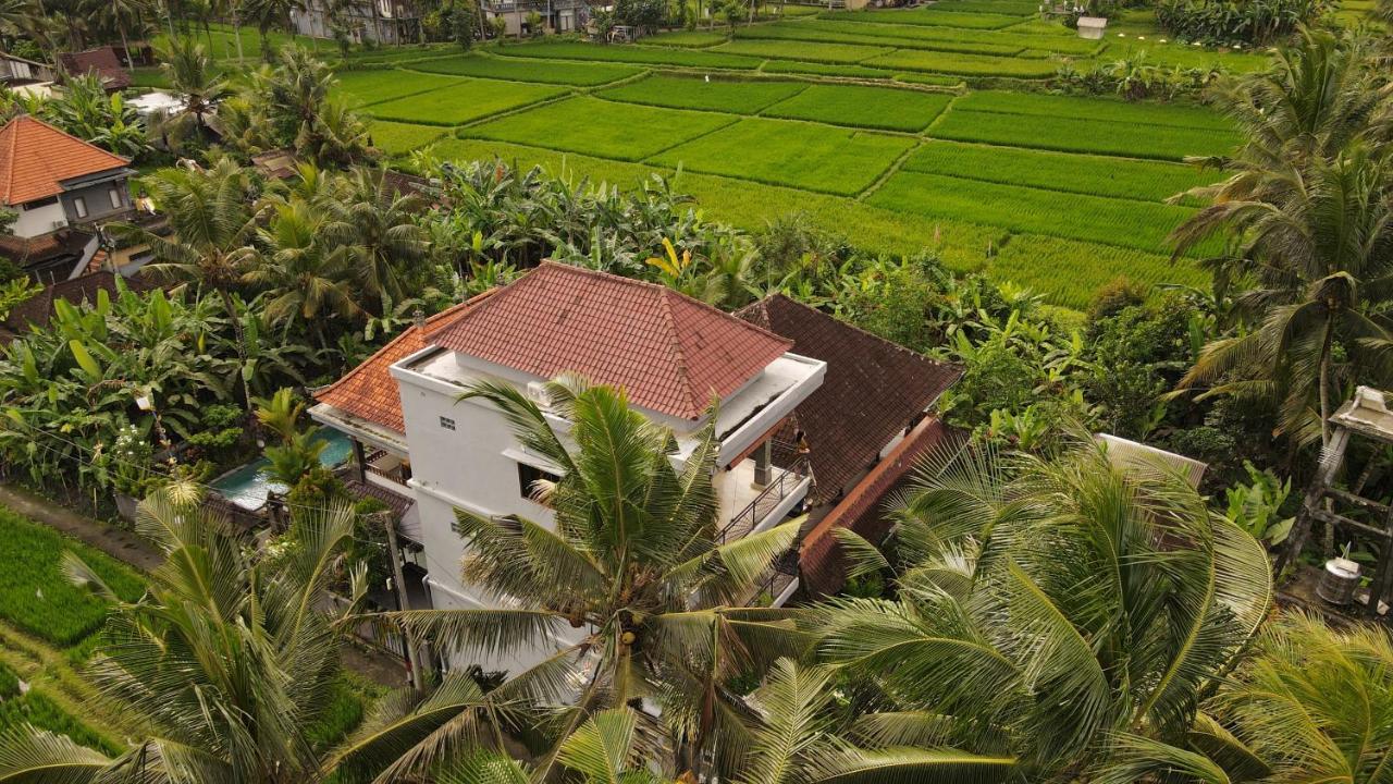 Nirwa Ubud Homestay Bagian luar foto